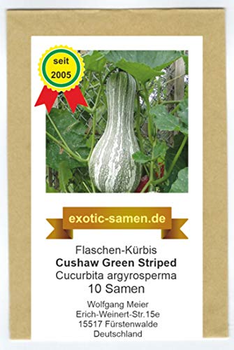 Speisekürbis - Flaschenkürbis - Cushaw Green Striped - 10 Samen von exotic-samen