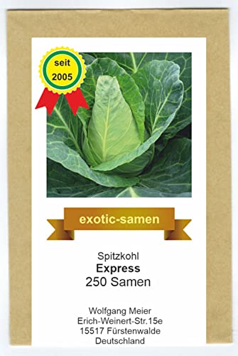 Spitzkohl Express - Frühe Sorte - Weißkohl - samenfeste Sorte - 250 Samen von exotic-samen