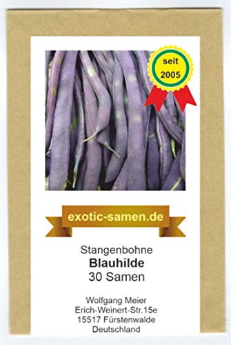 Stangenbohne - Blauhilde - 30 Samen von exotic-samen