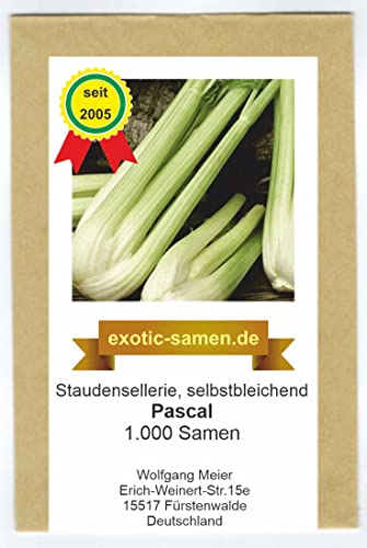 Stangensellerie - Staudensellerie - PASCAL - selbstbleichend - 1.000 Samen von exotic-samen