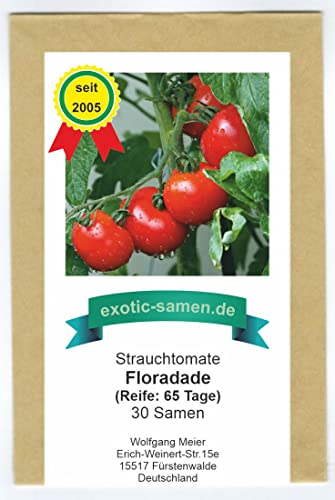 Strauchtomate – Floradade – mittelfrüh – sehr ertragreich – 30 Samen von exotic-samen