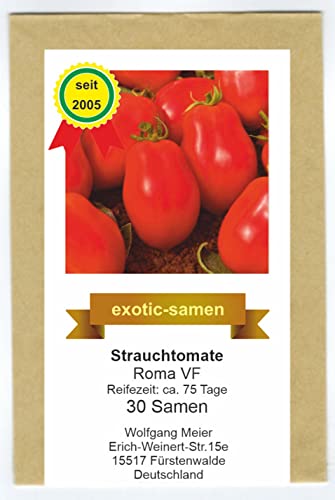 Tomate - Roma VF - Strauchtomate - Eiertomate - mittelfrüh - alte, samenfeste Sorte - 30 Samen von exotic-samen