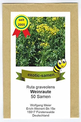 Weinraute - Ruta graveolens - 50 Samen von exotic-samen
