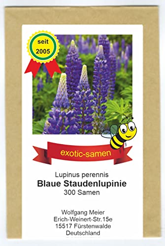 Wilde Lupine - Stauden-Lupine - ausdauernd - Bienenweide - Bauerngarten - 300 Samen von exotic-samen