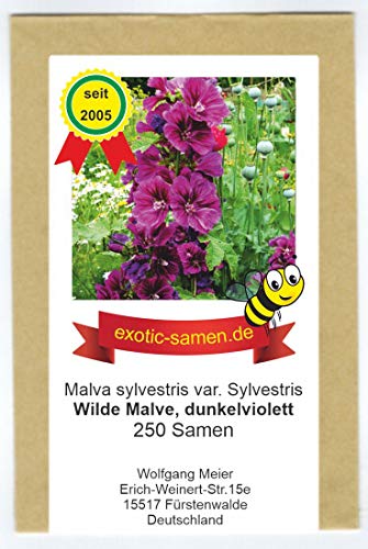 Wilde Malve - Dunkelviolett - Bienenweide - Malva sylvestris var. Sylvestris - Zier-/Arzneipflanze - 250 Samen von exotic-samen