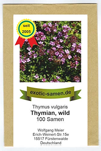 Wilder Thymian - Thymus vulgaris (100 Samen) von exotic-samen