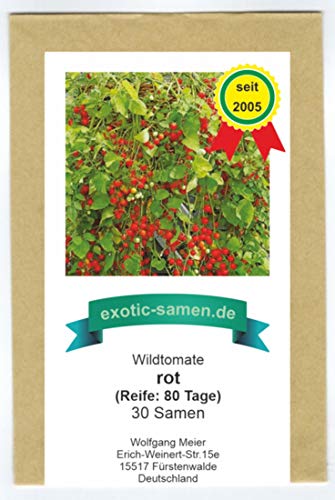 Wildtomate rot - krankheitsresistent - auch für den Kübel oder Hängeampel - 30 Samen von exotic-samen