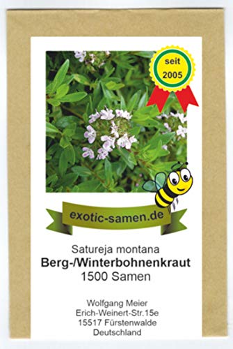 Winter-, Bergbohnenkraut - Bienenweide - mehrjährig - Satureja montana - 1500 Samen von exotic-samen