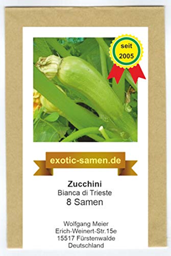 Zucchini -Bianca Di Trieste - 8 Samen von exotic-samen