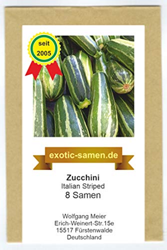 Zucchini - Italian Striped - 8 Samen von exotic-samen
