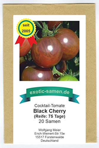 Schwarze Cherry-Tomate - süß, aromatisch - Black cherry - 20 Samen von exotic-samen