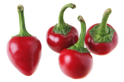 Chili Satans Kiss 10 Samen von exoticsamen Samenraritäten aus aller Welt