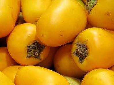 Cocona Solanum sessiliflorum 10 frische Samen von exoticsamen Samenraritäten aus aller Welt