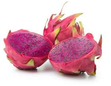 Pitahaya Drachenfrucht rot Hylocereus megalanthus 10 Samen von exoticsamen Samenraritäten aus aller Welt