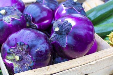 Aubergine Eierfrucht "Violetta di Firenze" 20 Samen von exoticsamen.com PREMIUM QUALITY SEEDS