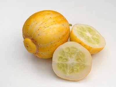 Lemon Gurke Zitronengurke Crystal Cucumber 10 Samen von exoticsamen.com PREMIUM QUALITY SEEDS