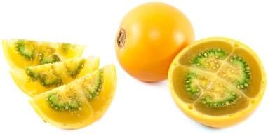 Lulopflaume Solanum quitoense Naranjilla 5 Samen von exoticsamen.com PREMIUM QUALITY SEEDS