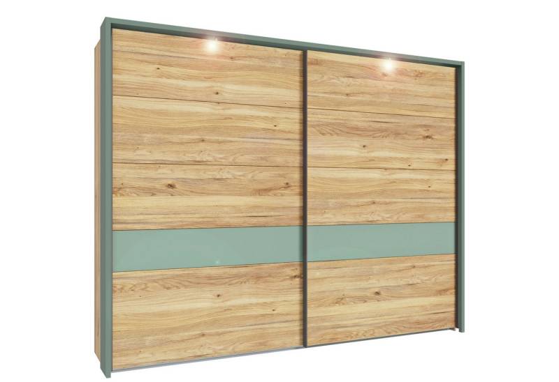 expendio Kleiderschrank Wenke 2 Mauvella Oak Nb. / salbei von expendio