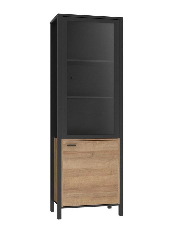 expendio Vitrine Hector 7 Schwarz / Riviera Eiche Nb. 65x197x41 cm mit Beleuchtung von expendio