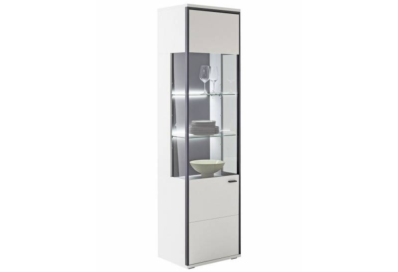 expendio Vitrine Martha 1 Modern white tiefgezogen / schwarzgrau, 54x199x38 cm von expendio