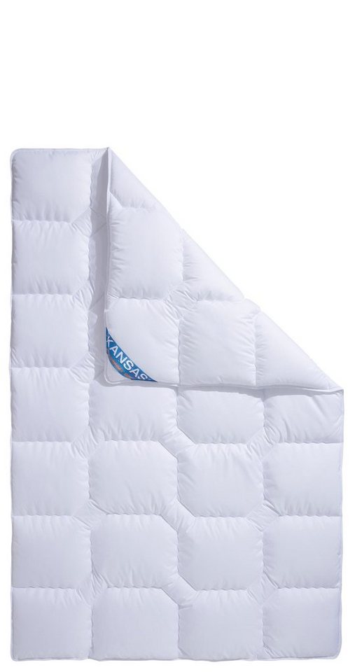 fan Microfaserbettdecke Kansas, Füllung: Polyesterfaser, Bezug: 100% Polyester, Bettdecke in 135x200 cm und weiteren Größen, für Sommer oder Winter fan Microfaserbettdecke Kansas, Füllung: Polyesterfaser, Bezug: 100% Polyester, Bettdecke in 135x200 cm und weiteren Größen, für Sommer oder Winter von fan