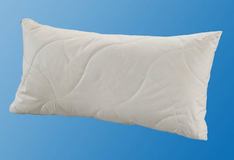 fan Naturfaserkopfkissen TENCEL®/Leinen, natürlich, kühlendes Schlafklima von fan