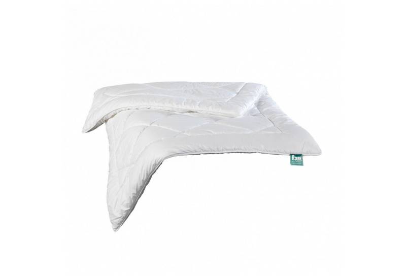 fan Einziehdecke fan Steppdecke Platin, Größe 155x220 cm Ganzjahresdecke von fan