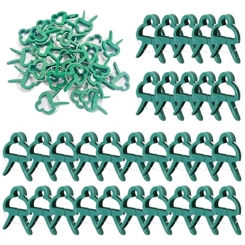 fKiZanthene Pflanzenclips für Tomatenstütze, grüne Gartenpflanzenstützen für Outdoor-Pflanzen, 4,5 x 3 cm, langlebige Pflanzenclips für Kletterpflanzen, 50 Stück fKiZanthene Pflanzenclips für Tomatenstütze, grüne Gartenpflanzenstützen für Outdoor-Pflanzen, 4,5 x 3 cm, langlebige Pflanzenclips für Kletterpflanzen, 50 Stück von fKiZanthene