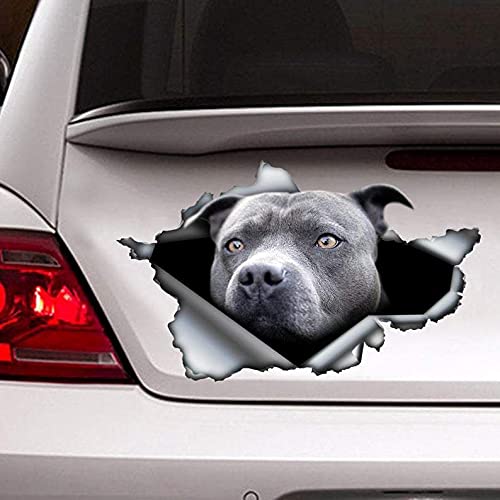 fabisup 3D Blau Auto Dekoration Aufkleber für Auto Fenster Stoßstange Riss Vinyl Aufkleber Hund Wasserdicht 3D Realistische Hund Auto Aufkleber von fabisup