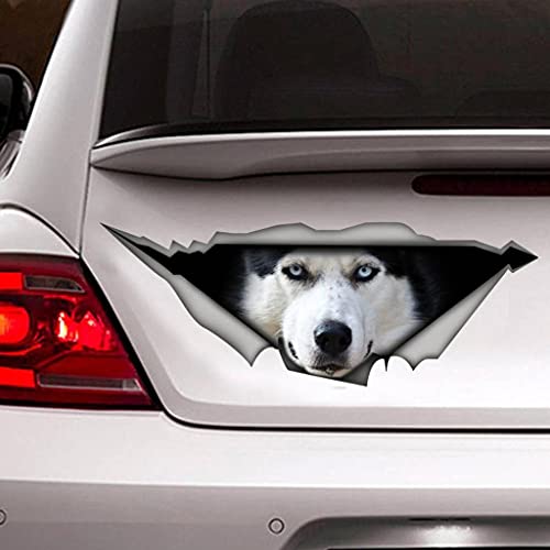 fabisup 3D Husky Auto Dekoration Aufkleber für Auto Fenster Stoßstange Husky Riss Vinyl Husky Hund Wasserdicht 3D Realistische Husky Hund Auto Aufkleber von fabisup