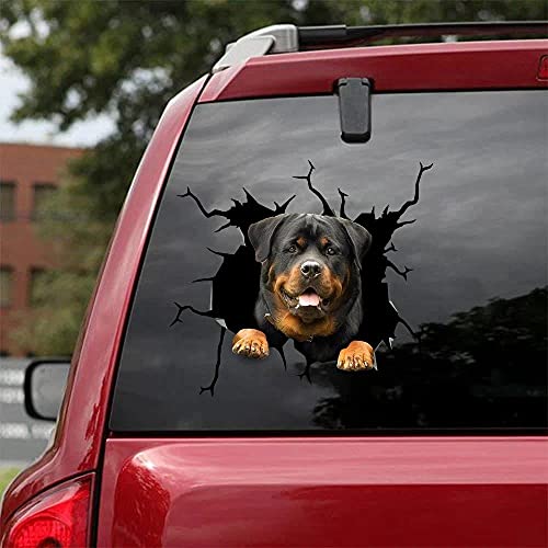 fabisup Lustiger Rottweiler Crack 3D Autoaufkleber Dekoration, SUV Fenster Glas Aufkleber, Rottweiler Crack Vinyl Hund Auto Fenster Aufkleber von fabisup