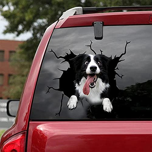 fabisup Niedlicher 3D-Autoaufkleber, Motiv: Border Collie, SUV, Fenster, Glas, personalisierte Dekoration, auch geeignet für Kühlschrank/Toilette/Notebook fabisup Niedlicher 3D-Autoaufkleber, Motiv: Border Collie, SUV, Fenster, Glas, personalisierte Dekoration, auch geeignet für Kühlschrank/Toilette/Notebook von fabisup