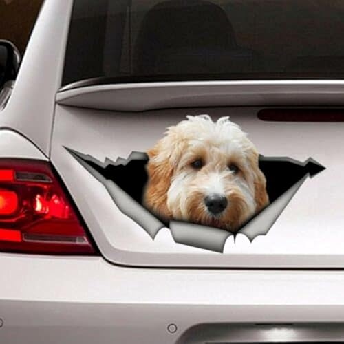 fabisup Weißes Goldendoodle Auto 3D Aufkleber Haustier Hund Magnet Vinyl 3D Realistische Husky Hund Auto Aufkleber fabisup Weißes Goldendoodle Auto 3D Aufkleber Haustier Hund Magnet Vinyl 3D Realistische Husky Hund Auto Aufkleber von fabisup