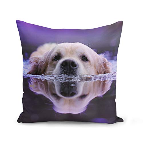 Fabulous Kissen Kissenbezug 40x40 cm Golden Retriever Schwimmen im Wasser Big Beige Dog Cute von Fabulous