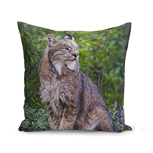 Fabulous Kissen Kissenbezug 40x40 cm Schöner Luchs in der Wildnis Foto Natur Tierische Sauvage von Fabulous