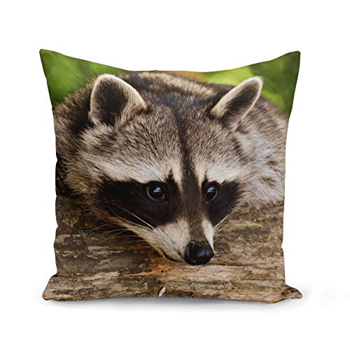 Kissen Kissenbezug 40x40 cm Waschbär Wildtier Süß Naturfoto von Fabulous