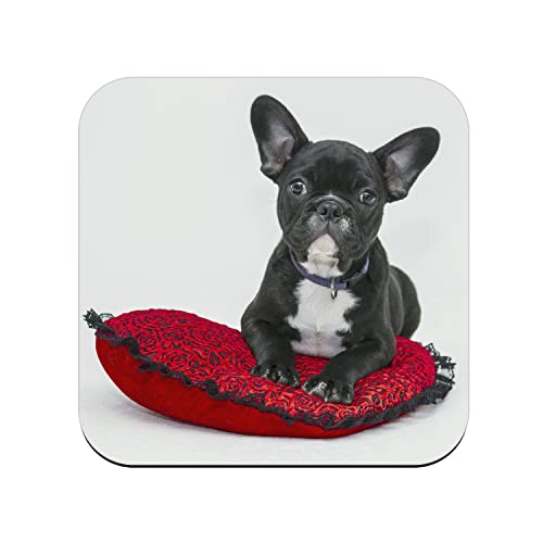 Untersetzer aus Kork – Französische Bulldogge Schwarz und Weiß Kleiner Hund auf Kissen Rot und Schwarz Niedliche Tiere – 1 Stück (95 x 95 mm) von fabulous