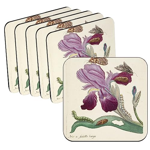 Untersetzer aus Kork – Iris Schmetterlinge Raupen Brett Botanische Illustration alte Blumen – 6 Stück (95 x 95 mm) von fabulous