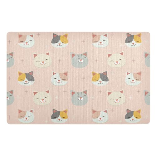 Fußmatte mit Cartoon-Katze, 81,3 x 50,8 cm, rutschfeste Gummi-Unterseite, waschbar, Eingangsbereich, saugfähig, Küchenmatte für schlammige Schuhe und Pfoten von famyily