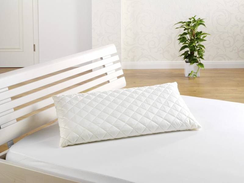 fan Schlafkomfort Exklusiv Kopfkissen Medisan Sleep & Care Dinkelkissen, Füllung: 100% Dinkel, Bezug: Baumwoll-Satin von fan Schlafkomfort Exklusiv