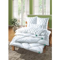 Bettwarenprogramm von fan aus hochwertigen Materialien Bettwarenprogramm von fan aus hochwertigen Materialien von fan