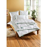 "Greenfirst“- Bettwaren-Programm von „F.A.N.“ "Greenfirst“- Bettwaren-Programm von „F.A.N.“ von fan