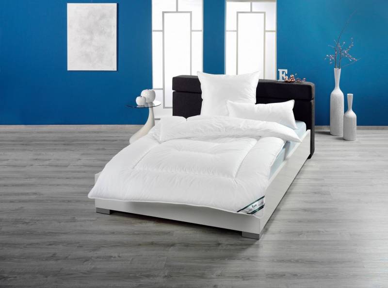 fan Microfaserbettdecke fan Texas Baumwoll Steppbett Leicht Mono Duo, Füllung: Comfortfill®, Markenhohlfaser silikonisiert von fan