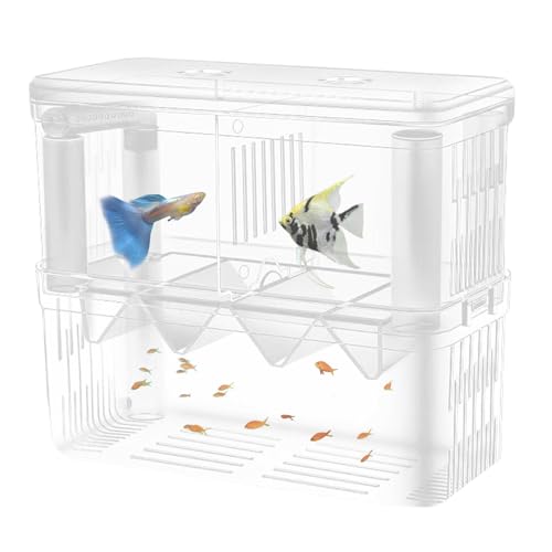 Aquarium Breeder Box | Acryl Schlüpfen Inkubator Doppellagiger Zuchttank | Klare Schlüpfbox mit Saugnäpfen für Clownfisch, Guppy, von fanelod