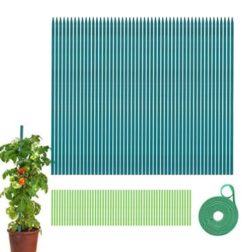 Gartenpfähle, Pflanzenstützstäbe mit 50 Pflanzenbefestigungsstäben, 50 Drähten und einer Rolle Klebeband, 50 Kletterpflanzenstützen, umweltfreundliche Pflanzenrankenstütze für Topfpflanzen von fanelod