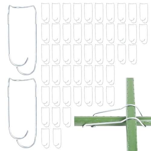 Plant Spalier Verbindungsschnallen, 50 Pflanzkäfige Verbinder, Gemüsespaliere Drahtclips, Gartenstützklammern, Schnalle Befestigungsklammern für den Bau von Haus, Garten, Gewächshaus Pflanzen Plant Spalier Verbindungsschnallen, 50 Pflanzkäfige Verbinder, Gemüsespaliere Drahtclips, Gartenstützklammern, Schnalle Befestigungsklammern für den Bau von Haus, Garten, Gewächshaus Pflanzen von fanelod