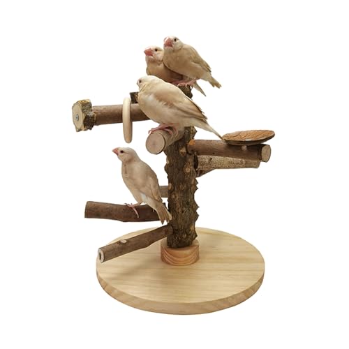 fanelod Vogelsitzständer für Wellensittiche, Papageien, natürlicher, freistehender Tischsitz aus, handgefertigter, tragbarer Tisch-Vogelsitz, Spin-Trainingssitz für Sittiche, Turteltauben oder fanelod Vogelsitzständer für Wellensittiche, Papageien, natürlicher, freistehender Tischsitz aus, handgefertigter, tragbarer Tisch-Vogelsitz, Spin-Trainingssitz für Sittiche, Turteltauben oder von fanelod