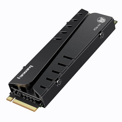 M2 SSD 1TB Nvme M.2 2280 Interne SSD Festplatte PCIe 4.0 DRAM mit Kühlkörper, 7400MB/s Lesen, 6800MB/s Schreiben, für Gaming, Programme, Videoschnitt (S770) von fanxiang