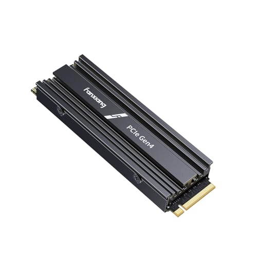 fanxiang NVMe SSD 4TB mit Heatsink, M.2 PCIe Gen4x4 Gaming Solid State Laufwerk mit SLC Cache, 7300MB/s Lesen, 6300 MB/s Schreiben, Interne Festplatte für PC PS5 Laptop Datenübertragung S880E von fanxiang