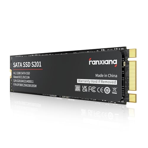 fanxiang M.2 SATA SSD 512GB 2280 Interne Festplatte mit SLC Cache, Hochgeschwindigkeits SSD M2, Lesen bis 560 MB/s, Schreiben bis 510 MB/s, ideal für Laptop- und Ultrabook-Upgrades von fanxiang